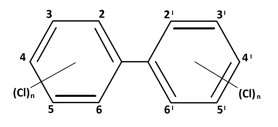 PCB Molekyle Model